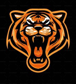 Brüllender Tiger